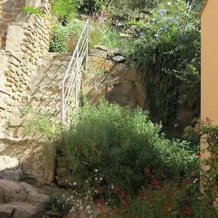 Montiano's Garden *